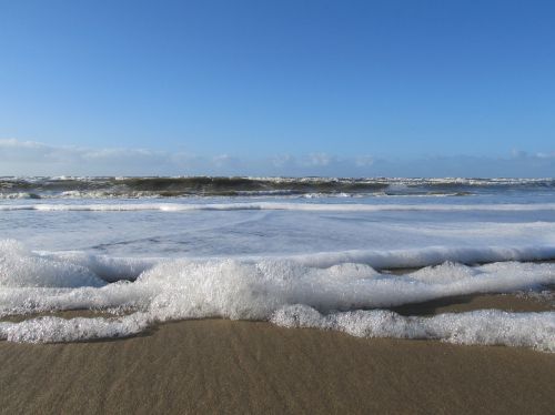 zealand beach nature