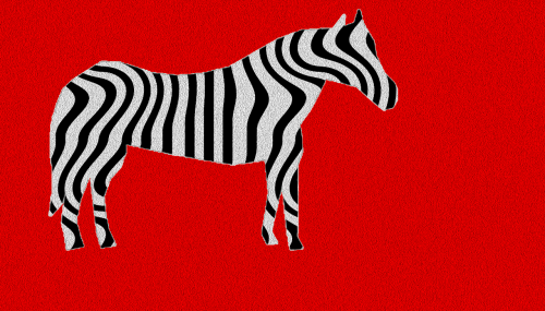 zebra texture animal
