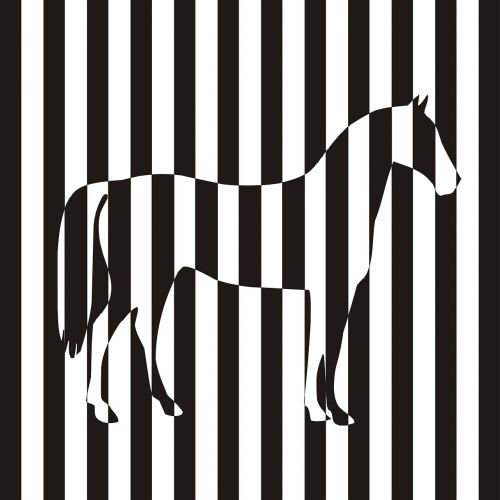 zebra the horse vector animal