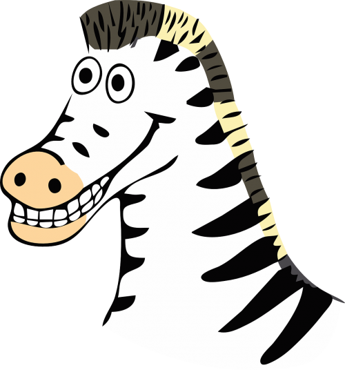 zebra animal wild