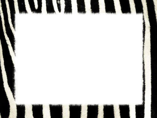 zebra texture zebra animal skin