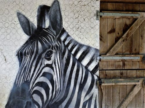 zebra painted head