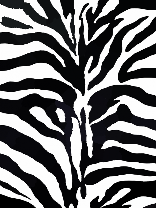 zebra pattern design