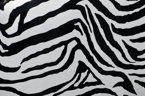 zebra  camouflage  model
