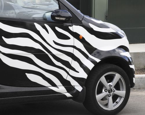 Zebra Car