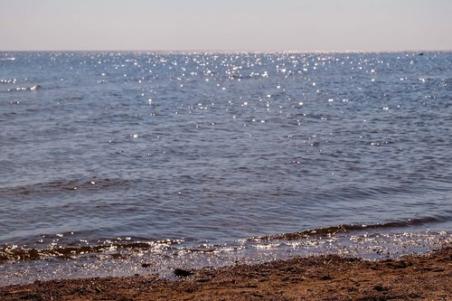 zelenogorsk  bay  russia