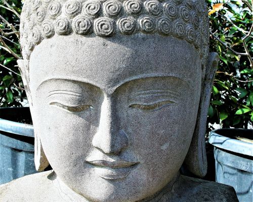 zen meditation buddha