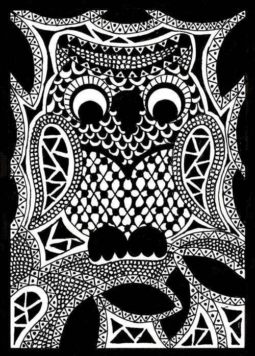 zentangle pictures drawing owl