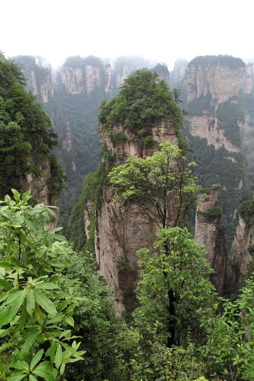 zhangjiajie wulingyuan quartz sandstone peak woodland landscape
