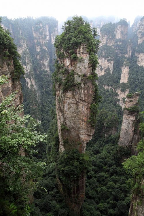 zhangjiajie wulingyuan quartz sandstone peak woodland landscape