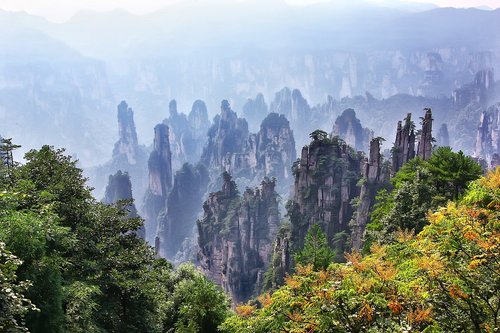 zhangjiajie  landscape  travel