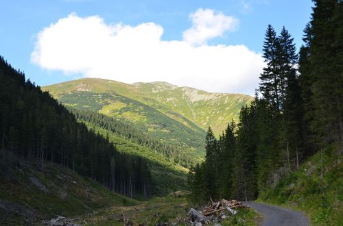 žiarska dolina nature mountains