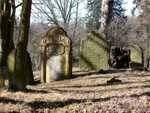 The Jewish Cemetery