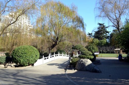 Zijinshan Park (a)