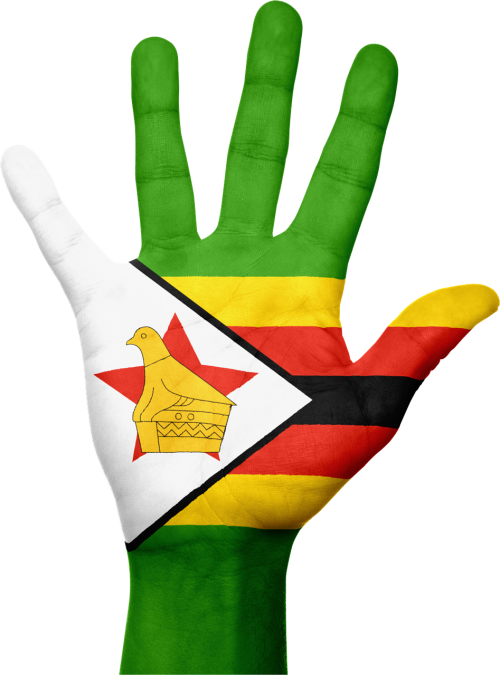 zimbabwe flag hand