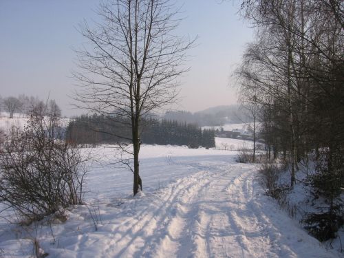 Winter Landscape