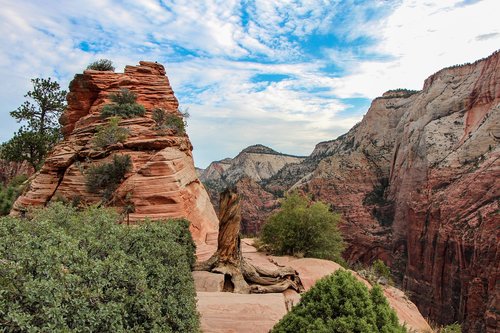 zion  national  park