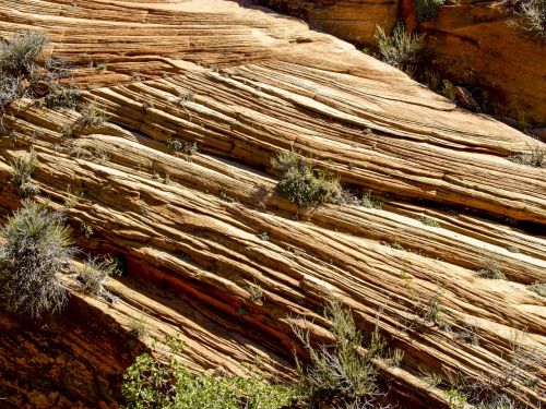 zion national park utah usa