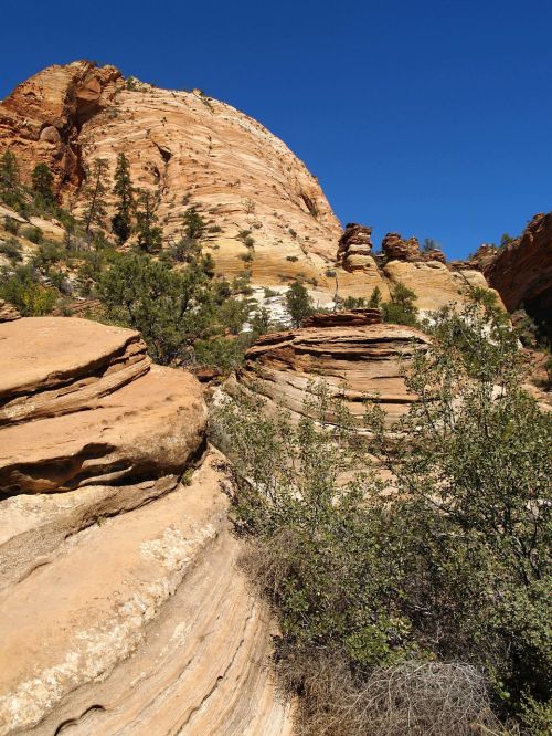 zion national park utah usa