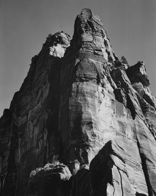 zion national park utah 1941