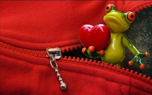 zip open frog