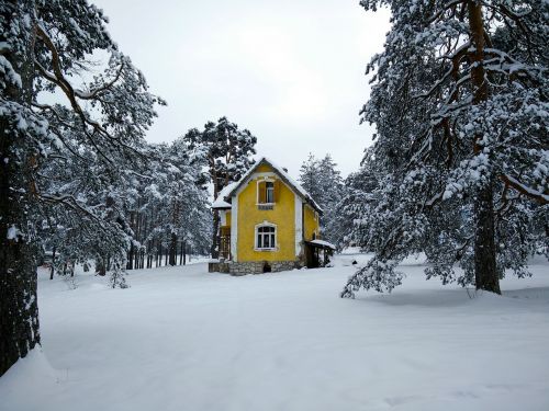 zlatibor mountain yellow house