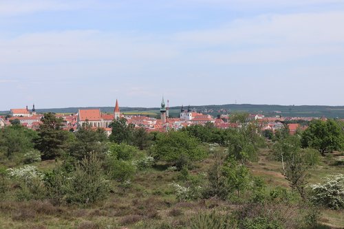 znojmo  spring  meadow