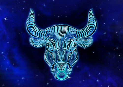 zodiac sign  bull  horoscope