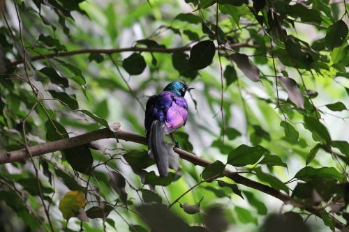 zoo safari dvur kralove nad labem