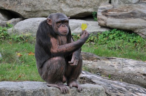 zoo hellabrunn munich