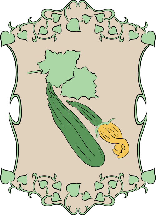 zucchini garden plant