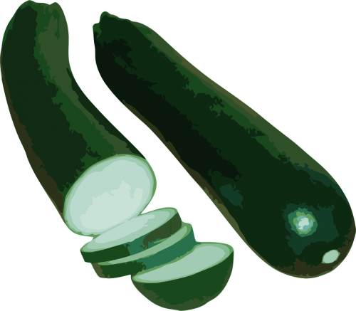 zucchini squash vegetable
