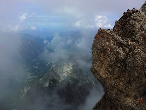 zugspitze rock birds